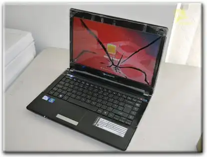 Замена матрицы Packard Bell в Иваново